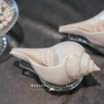 งานแต่งงาน Cocktail + Buffet @ บ้านใน